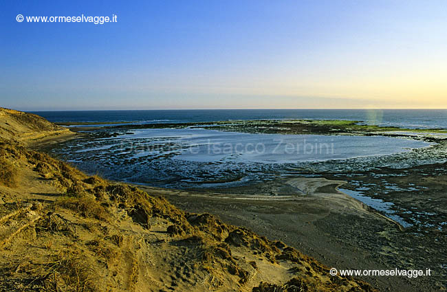 Punta Delgada 10-11-03